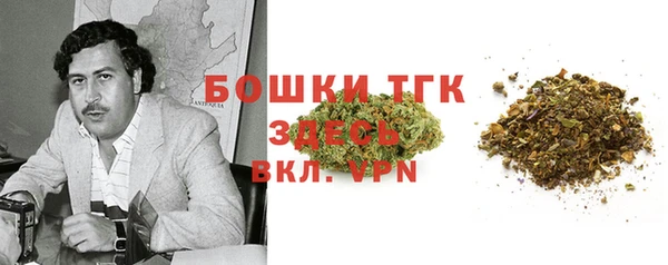 ECSTASY Ладушкин