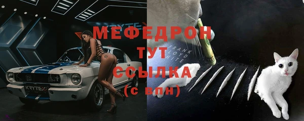 ECSTASY Ладушкин