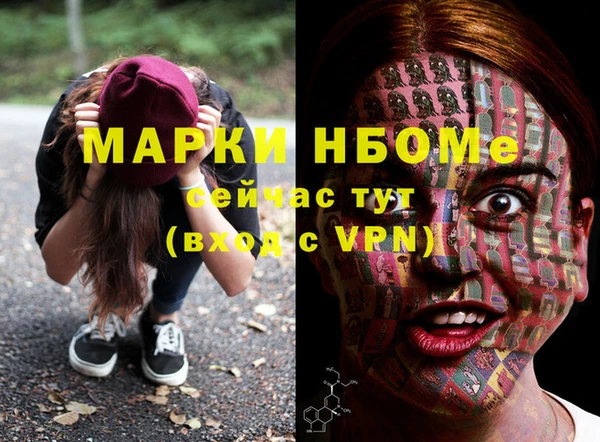 прущий лед Вяземский