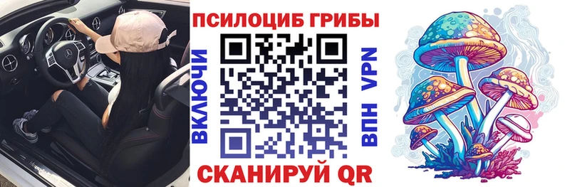 Псилоцибиновые грибы Psilocybine cubensis  дарнет шоп  Ардатов 